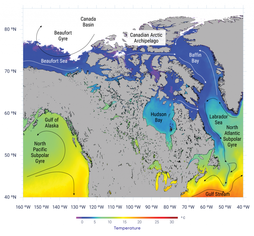 Map displaying the fall (September–November) average sea surface temperature (1985–2013) in the oceans surrounding Canada, based on advanced very-high-resolution radiometer satellite infrared imagery. The map area displayed includes the Northwest Atlantic, Arctic, and Northeast Pacific Oceans. Strong differences in temperature are evident in the area off Atlantic Canada, where the cold subpolar waters on the continental shelves are close to warm subtropical waters. Cold waters (below 2°C) and sea ice predominate at latitudes above 70° north latitude. The figure also shows the general direction of upper-ocean currents and gyres influencing Canadian waters.