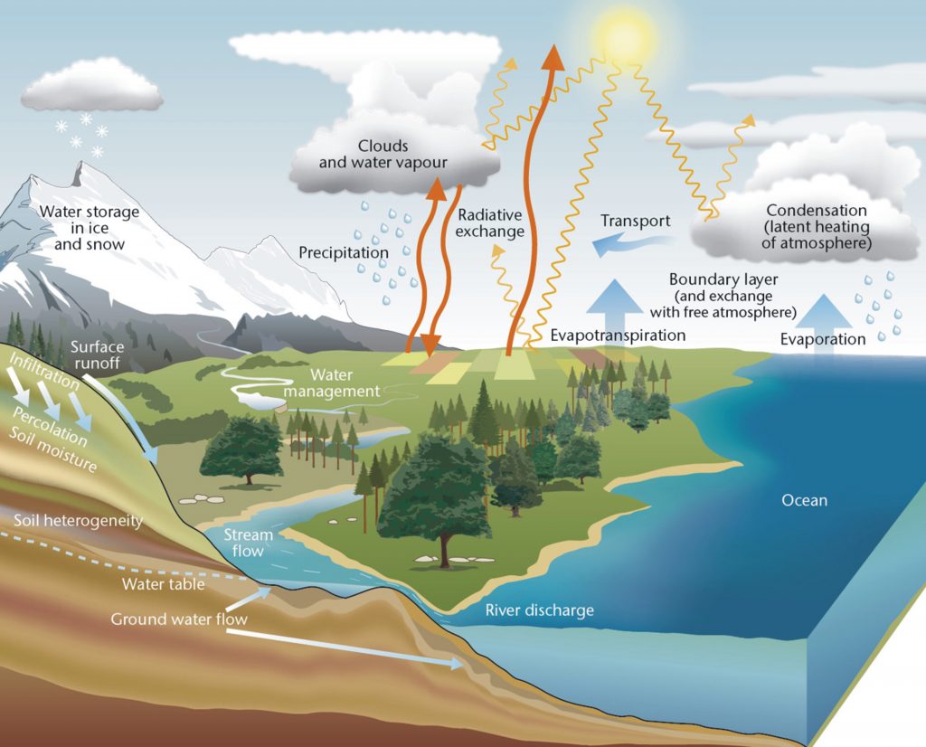 Schematic diagram showing the components, processes and interactions within the water cycle. In this cycle, water that evaporates from oceans is transported over land where it falls as precipitation. This water then either moves back to the atmosphere through evapotranspiration, is stored as ice or snow, or makes its way to rivers/streams either directly and rapidly, through overland flow, or slowly, through soil and groundwater. It then eventually flows back to the ocean, where the cycle continues.