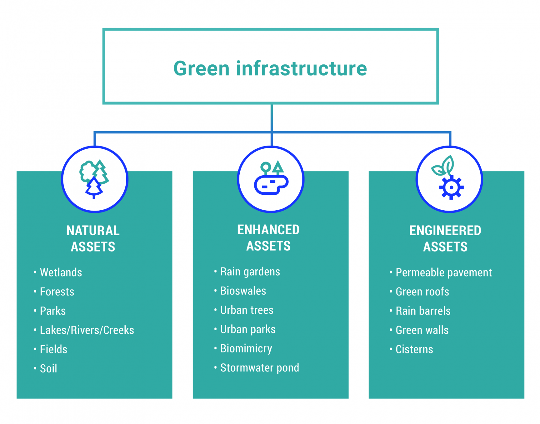 Graphical diagram showing the three categories of green infrastructure: natural assets, enhanced assets, and engineered assets. Natural assets include wetlands, forests, parks, lakes, rivers, creeks, fields and soil. Enhanced assets include rain gardens, bioswales, urban trees and parks, biomimicry and stormwater ponds. Engineered assets includes permeable pavement, green roofs, rain barrels, green walls and cisterns.