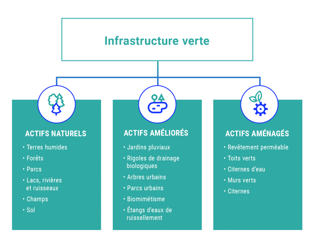 Graphique montrant les trois catégories d’infrastructures vertes : les actifs naturels, les actifs améliorés et les actifs aménagés. Les actifs naturels incluent les terres humides, les forêts, les parcs, les lacs, les rivières, les ruisseaux, les champs et le sol. Les actifs améliorés comprennent les jardins pluviaux, les rigoles de drainage biologiques, les arbres et les parcs en milieux urbains, le biomimétisme et les bassins d’eaux pluviales. Les actifs aménagés incluent les revêtements perméables, les toits verts, les citernes pluviales et les murs verts.