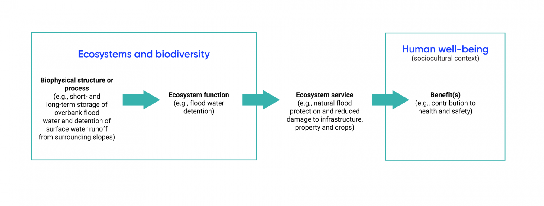 Flow chart diagram displays the link between ecosystems and biodiversity and human well-being. Biophysical structures or processes (e.g., short and long term storage of overbank flood water and detention of surface water runoff from surrounding slopes) provide ecosystem functions (e.g., flood water detention), which produce an ecosystem service (e.g., natural flood protection, reduced damage to infrastructure, property and crops). Ecosystem services then provides benefits to human well-being (for example, by contributing to health and safety).