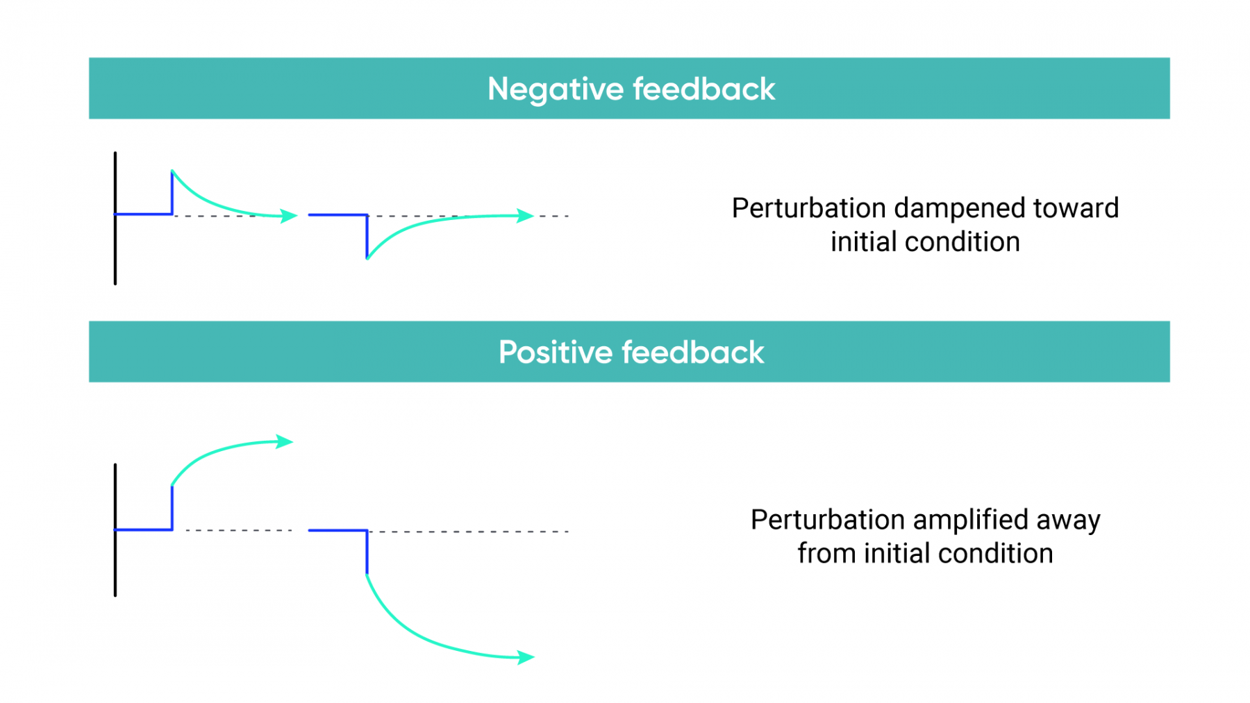 Illustration of negative feedback loop shows perturbation damped toward the initial condition. Illustration of positive feedback loop shows perturbation amplified away from the initial condition.