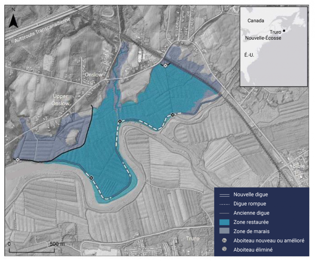 Carte du marais North Onslow à Truro, en Nouvelle Écosse, illustrant l’étendue de la zone à restaurer en tant que marais côtier. La carte montre que la suppression de l’ancienne digue a permis de restaurer le marais. Des aboiteaux nouveaux ou améliorés et de nouvelles digues ont été construits pour protéger les routes et les terres agricoles environnantes.