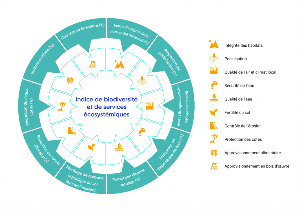 Le graphique circulaire présente dix catégories incluses dans l’indice de biodiversité et de services écosystémiques. Les dix services écosystémiques inclus sont l’intégrité de l’habitat; la pollinisation; la qualité de l’air et le climat local; la sécurité de l’eau; la fertilité du sol; le contrôle de l’érosion; la protection du littoral; l’approvisionnement en eau et l’approvisionnement en bois.