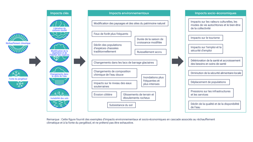 Illustration des principaux impacts des changements climatiques et de leur incidence sur l’environnement et la société. Le réchauffement du climat et la fonte du pergélisol entraînent la libération du carbone stocké, des modifications de la végétation et de l’habitat des animaux, des changements dans le cycle de l’eau, et l’instabilité des sols. Ces principales répercussions entraînent des incidences sur l’environnement, telles que des modifications des paysages et des lieux patrimoniaux naturels, des feux de forêt plus fréquents, un ruissellement plus important, des modifications de la chimie de l’eau douce, des inondations plus fréquentes et plus intenses, l’érosion du littoral et la subsistance des sols. Ces répercussions environnementales entraînent des répercussions socio-économiques, notamment des répercussions sur les valeurs culturelles, les modes de vie autochtones, le bien être des communautés, le tourisme, l’emploi et la sécurité d’emploi. Les répercussions socioéconomiques comprennent également le déclin de la santé et l’augmentation des besoins de soins de santé, le déclin de la sécurité alimentaire, le déplacement des communautés, la pression sur les infrastructures et les services ainsi que la diminution de la qualité et de la disponibilité de l’eau.