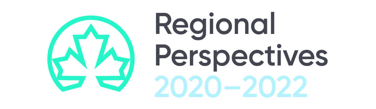 Regional Perspectives Report