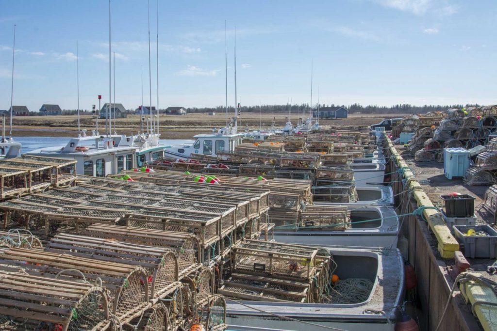 Two photographs of lobster fishing operations. The first photo shows eight fishing boats docked in a harbour with lobster traps on the deck. The second photo is of two fishers on a boat loaded with lobster traps.