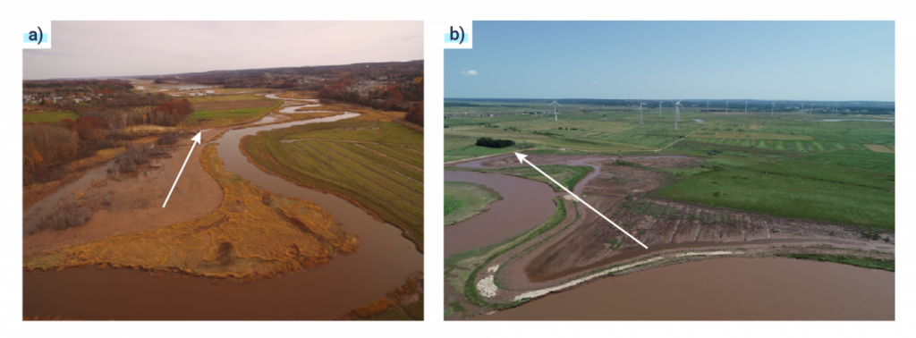 Deux photos de vues aériennes du rétablissement d’un habitat humide à un stade précoce. La première photo montre une rivière serpentant dans une zone agricole et une flèche y indique l’emplacement d’une digue réalignée. La deuxième photo montre une rivière serpentant dans une zone agricole avec des éoliennes en arrière-plan. Une flèche y indique l’emplacement d’une digue réalignée.