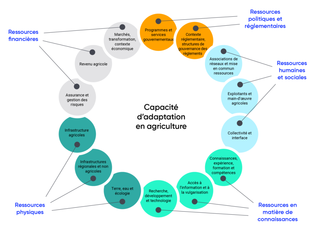 Diagramme montrant cinq différents types de facteurs qui ont un impact sur la capacité d'adaptation en agriculture. Les facteurs de ressources politiques et réglementaires comprennent : les programmes et services gouvernementaux, le contexte réglementaire, les règlements et les structures de gouvernance. Les facteurs de ressources humaines et sociales comprennent : les associations de réseaux et partage des ressources, les exploitants agricoles et la main-d'œuvre, la communauté et l'interface. Les facteurs de ressources en matière de connaissances comprennent : les connaissances, l'expérience, la formation et les compétences ; l'accès à l'information et à la vulgarisation ; la recherche, le développement et la technologie. Les facteurs de ressources physiques comprennent : la terre, l'eau et l'écologie, l'infrastructure régionale et non agricoles, et l'infrastructure agricoles. Les facteurs de ressources financières comprennent : l'assurance et la gestion des risques, le revenu agricole, les marchés, la transformation et le contexte économique.