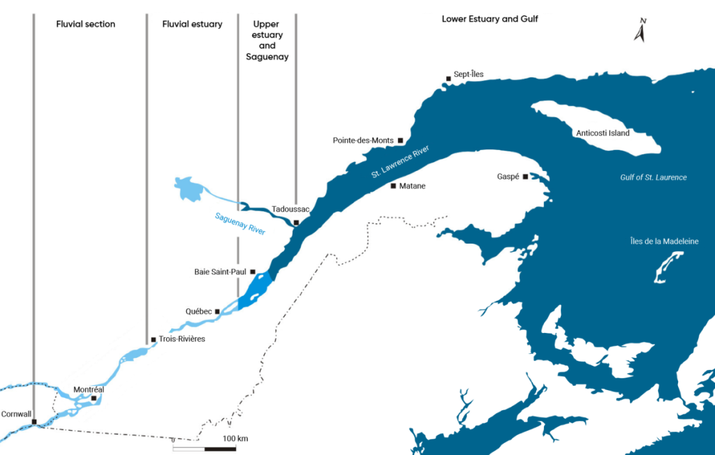 Map of the Gulf of St. Lawrence, extending to where the St. Lawrence river flows through Cornwall, Ontario. The map indicates the location of the fluvial section of the river, between Cornwall and Trois-Rivières, the fluvial estuary which runs from Trois-Rivières to the area in between Quebec City and Baie Saint-Paul, and the upper estuary and Saguenay area which extends to Tadoussac.