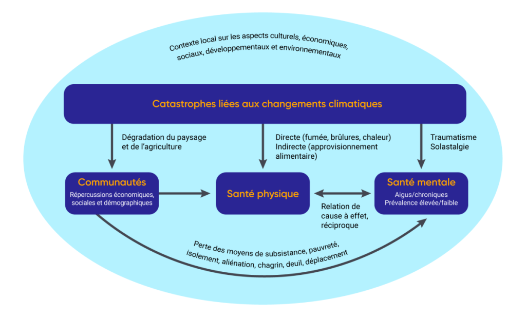 Le diagramme établit un lien entre les catastrophes liées au changement climatique et trois impacts sur la santé humaine. Les catastrophes endommagent les paysages et l'agriculture, ce qui a des répercussions économiques, sociales et démographiques sur les communautés. Les catastrophes ont également un impact direct sur la santé physique (fumée, brûlures et chaleur, par exemple) et indirect (approvisionnement alimentaire, par exemple). Il existe une relation causale et réciproque entre la santé physique et la santé mentale. Les catastrophes peuvent entraîner des traumatismes et des solastalgies, ainsi que des problèmes de santé mentale aigus ou chroniques. La perte des moyens de subsistance, la pauvreté, l'isolement, l'aliénation, le chagrin, le deuil et le déplacement peuvent également avoir des répercussions sur la santé mentale.