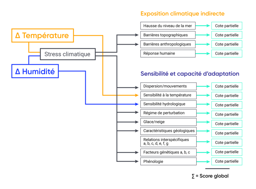 Graphique des facteurs déterminants de l'indice de vulnérabilité au changement climatique. Dans la visualisation, la température et l'humidité se rejoignent pour créer un stress climatique qui conduit aux expositions climatiques indirectes et à leurs sous-scores calculés. Le stress climatique conduit également à la sensibilité et à la capacité d'adaptation et à leurs sous-scores calculés.