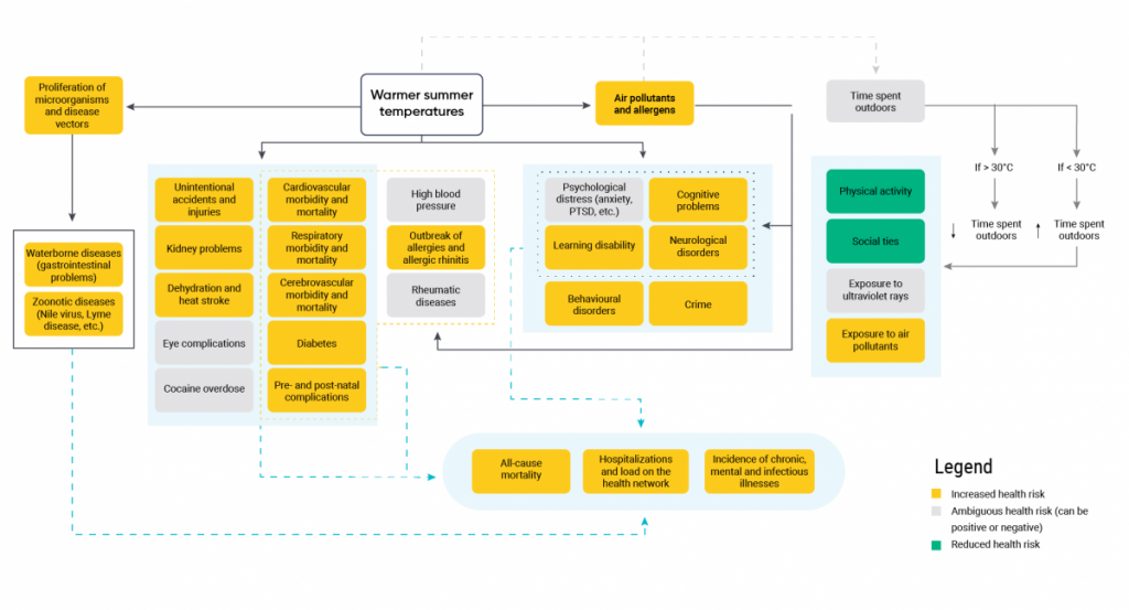 A schematic of the direct and indirect effects of extreme heat and increased temperatures on population health in Canada. Warmer summer temperatures put stress on the human body. These outcomes can ultimately lead to mortality, hospitalizations, and increased incidence of chronic, mental and infectious diseases.