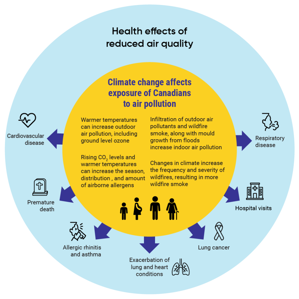 A schematic illustrating the health effects of reduced air quality. Climate change affects exposure of Canadians to air pollution: 1. Warmer temperatures can increase outdoor air pollution, including ground level ozone 2. Rising CO2 levels and warmer temperatures can increase the season, distribution, and amount of airborne allergens 3. Infiltration of outdoor air pollutants and wildfire smoke, along with mould growth from floods increase indoor air pollution 4. Changes in climate increase the frequency and severity of wildfires, resulting in more wildfire smoke This can affect: 1. Cardiovascular disease 2. Premature death 3.Allergic rhinitis and asthma 4. Exacerbation of lung and heart conditions 5. Lung cancer 6. Hospital visits 7. Respiratory disease