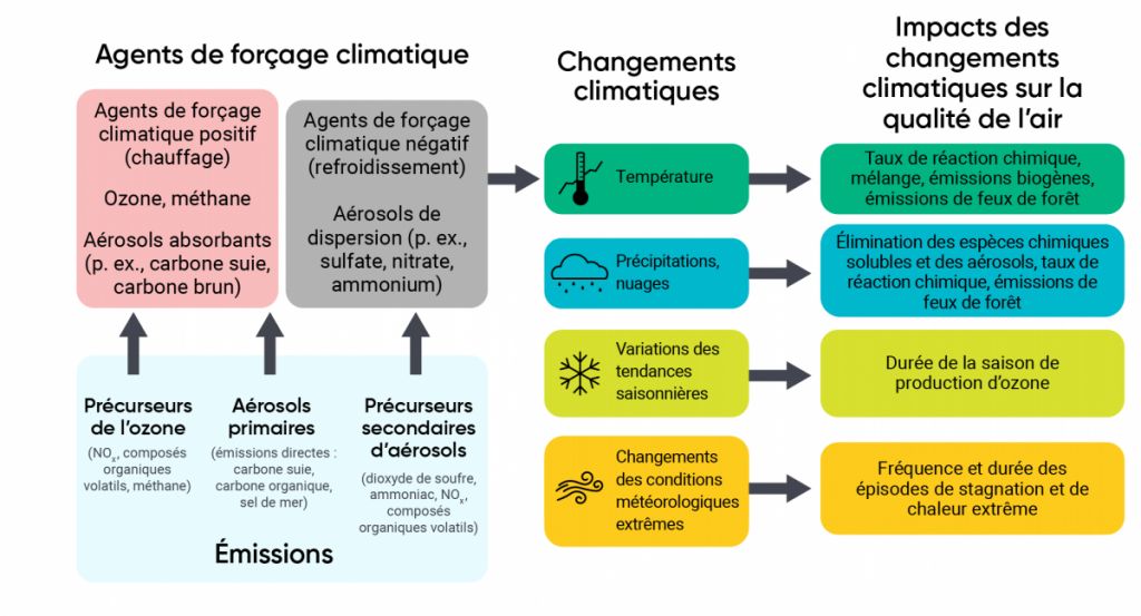 Schéma illustrant les liens entre la qualité de l’air et les changements climatiques. Les précurseurs d’ozone et les émissions d’aérosols primaires ont une force positive (réchauffement) sur le climat, tandis que les précurseurs d’aérosols secondaires exercent une force négative (refroidissement) sur lui. Ces forces influencent les changements climatiques, qui peuvent avoir des répercussions sur la qualité de l’air.