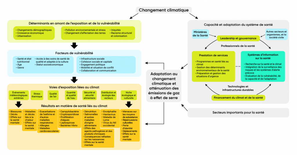 Ce schéma illustre les voies par lesquelles les changements climatiques frappent la santé des Canadiens et les partenariats étroits au sein et en dehors du secteur de la santé nécessaires pour faire progresser l’adaptation.