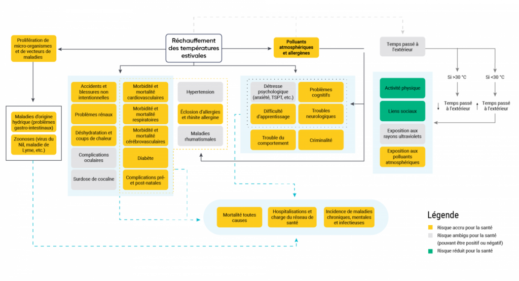Schéma montrant les effets directs et indirects de la chaleur extrême et de l’augmentation des températures sur la santé de la population au Canada. Les températures estivales plus élevées exercent une pression sur le corps humain. Ces résultats peuvent finalement conduire à la mortalité, aux hospitalisations et à une incidence accrue des maladies chroniques, mentales et infectieuses.