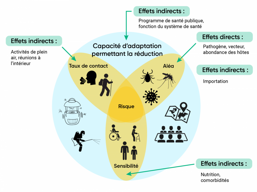 Schéma qui illustre les éléments constitutifs de la vulnérabilité aux maladies infectieuses dans le contexte des changements climatiques. Les trois éléments constitutifs croisés de risque sont le danger, le taux de contact et la vulnérabilité. L’adaptation est fonction de la capacité à atténuer ces trois éléments constitutifs du risque et à y réagir.