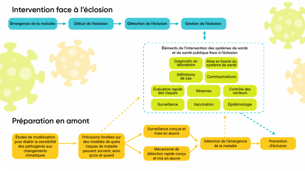 Schéma illustrant les deux volets des mesures de santé publique servant à gérer les maladies infectieuses. Les mesures visant à protéger la santé doivent être robustes et coordonnées pour contrer les risques accrus de maladies infectieuses imputables aux changements climatiques.