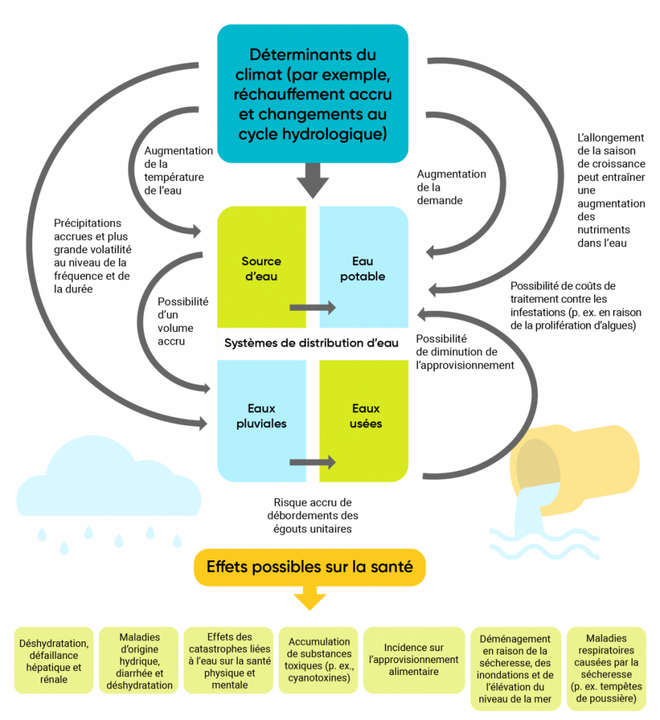 Schéma illustrant les façons directes et indirectes dont les changements climatiques peuvent modifier la qualité de l’eau et la quantité d’eau et nuire à la santé. Les facteurs climatiques agissent sur les systèmes d’alimentation en eau à cause de la demande accrue, de changements dans les saisons de croissance, des coûts de traitement, de l’approvisionnement, de la température, des précipitations et du volume. Ces impacts sur les systèmes d’alimentation en eau peuvent inclure les sources d’eau, l’eau potable, les eaux pluviales et les eaux usées. Ces répercussions sur ces systèmes peuvent ensuite entraîner une variété d’impacts potentiels sur la santé, tels que : 1. Déshydratation, défaillance hépatique et rénale; 2. Maladies d’origine hydrique, diarrhée et déshydratation; 3. Effets des catastrophes liées à l’eau sur la santé physique et mentale; 4. Accumulation de substances toxiques (p. ex. cyanotoxines); 5. Incidence sur l’approvisionnement alimentaire; 6. Déménagement en raison de la sécheresse, des inondations et de l’élévation du niveau de la mer; 7. Maladies respiratoires causées par la sécheresse (p. ex. tempêtes de poussière).