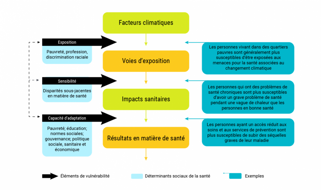 Un schéma illustrant l’intersection des déterminants sociaux de la santé et de la vulnérabilité aux changements climatiques. Une exposition accrue, une sensibilité accrue et une capacité d’adaptation réduite influencent toutes la vulnérabilité aux changements climatiques à différents points de la chaîne de causalité allant des facteurs climatiques aux résultats en matière de santé. Une exposition et une sensibilité accrues peuvent influencer la vulnérabilité. Par exemple, les personnes souffrant de maladies chroniques sont plus susceptibles d’avoir un problème de santé grave pendant une vague de chaleur que celles qui n’en souffrent pas. La capacité d’adaptation peut avoir une incidence sur la résilience des personnes ou des populations subissant des impacts sanitaires en influençant, par exemple, l’accès aux soins et aux services préventifs (Gamble et coll., 2016).