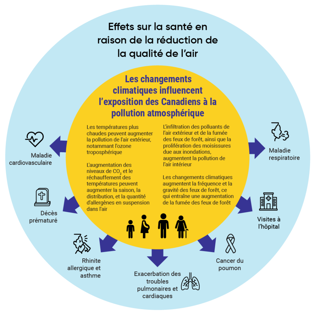 Schéma illustrant les effets sur la santé d’une qualité d’air réduite. Les changements climatiques ont une incidence sur l’exposition des Canadiens à la pollution atmosphérique : 1. Les températures plus chaudes augmentent la pollution de l’air extérieur, notamment l’ozone troposphérique; 2. L’augmentation des niveaux de CO2 et le réchauffement des températures peuvent prolonger la saison et augmenter la distribution et la quantité d’allergènes en suspension dans l’air; 3. L’infiltration des polluants de l’air extérieur et de la fumée des feux de forêt ainsi que la prolifération des moisissures due aux inondations augmentent la pollution de l’air intérieur; 4. Les changements climatiques augmentent la fréquence et la gravité des feux de forêt, ce qui entraîne une augmentation de la fumée des feux de forêt. Cela peut avoir pour effets : 1. Maladie cardiovasculaire; 2. Décès prématuré; 3. Rhinite allergique et asthme; 4. Exacerbation des troubles pulmonaires et cardiaques; 5. Cancer du poumon; 6. Visites à l’hôpital; 7. Maladie respiratoire.