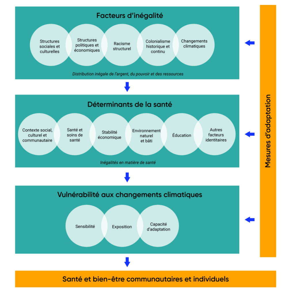 Schéma illustrant les liens entre le changement climatique et l’équité en santé. Du haut vers le bas, les facteurs d’inégalité comprennent les structures sociales et culturelles, les structures politiques et économiques, le racisme structurel, le colonialisme et les changements climatiques. Les moteurs agissent sur les déterminants de la santé qui contribuent à la vulnérabilité d’une personne face aux changements climatiques. L’ensemble de ces faits a une incidence sur la santé et le bien-être des collectivités et des personnes. Les mesures d’adaptation aux changements climatiques, mises en œuvre à l’intérieur ou à l’extérieur du secteur de la santé, peuvent influencer positivement ou négativement l’état des déterminants de la santé ou la vulnérabilité aux changements climatiques.