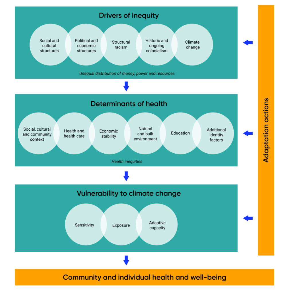 A flow chart illustrating the links between climate change and health equity. From top-down, drivers of inequality include social and cultural structures, political and economic structures, structural racism, colonialism, and climate change. Drivers act on the determinants of health that contribute to how vulnerable an individual is from climate change. The culmination of these factors has an impact on community and individual health and well-being. Climate change adaptation measures, implemented within or outside of the health sector can positively or negatively influence the status of determinants of health and/or climate change vulnerability.