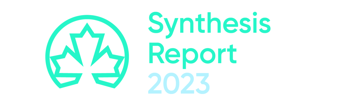 Synthesis Report