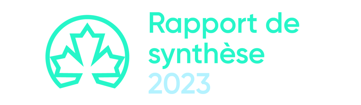 Rapport de synthèse